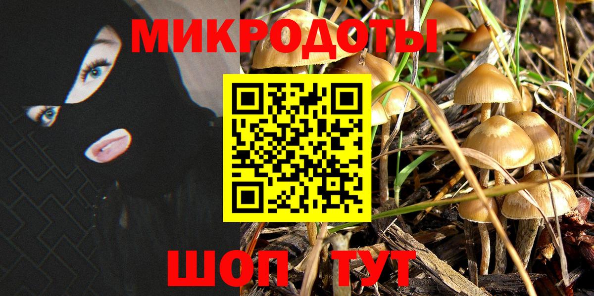 Коркино  Псилоцибиновые грибы GOLDEN TEACHER  Псилоцибиновые грибы мицелий  Вход с VPN 