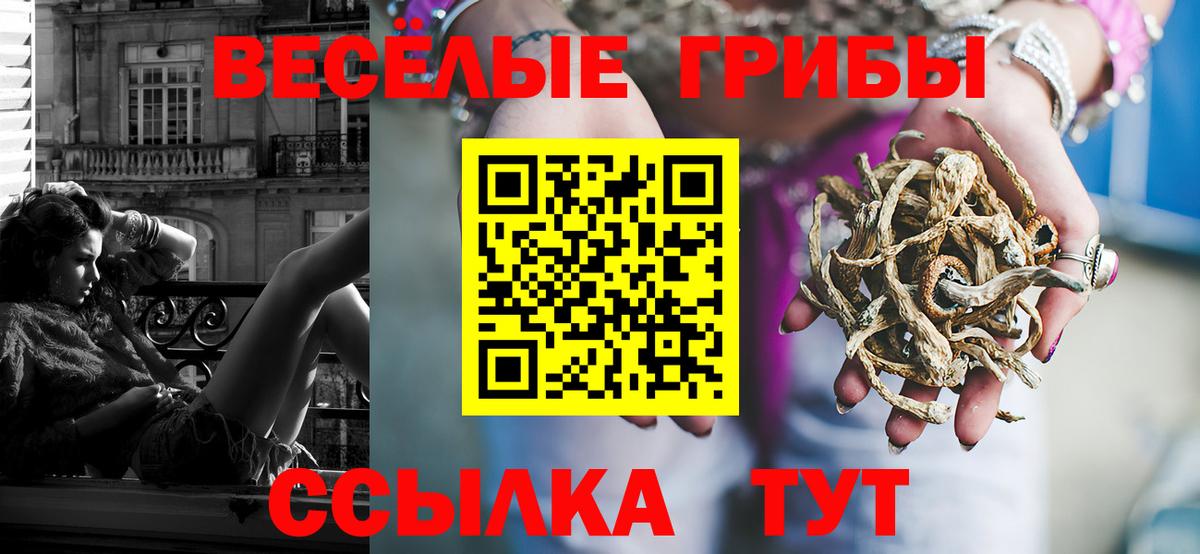 Псилоцибиновые грибы Psilocybine cubensis Коркино